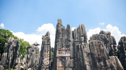 昆明石林+九乡一日游【二环接车丨可选升级新套票或15人小团】