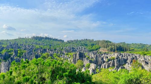 石林风景区一日游 7人内小团+含门票+上门接送+可升级私家团