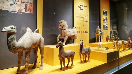 西安博物院+小雁塔一日游【双景区讲解2.5H/可选8人团】