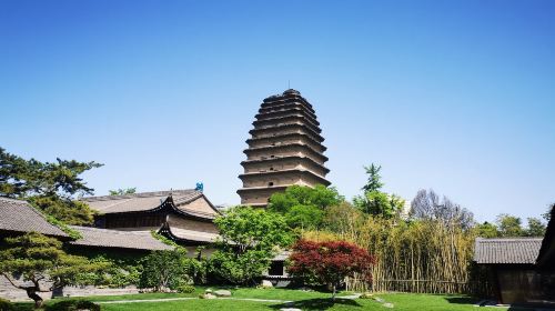 西安博物院+小雁塔半日游【双景区/2.5小时话长安品牌讲解】