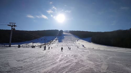 帽儿山滑雪场一日游【包含雪鞋雪板雪杖+往返车费，5s滑雪场】