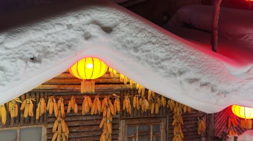 中国雪乡+大秃顶子山一日游【赏夜景｜冰雪画廊｜雪地摩托】
